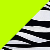 zebra + neon